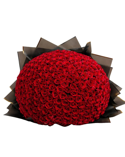 Buquê De 200 Rosas